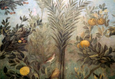 Pomegranate tree, detail from a fresco depicting a garden with fruit trees and birds, from the House of Livia on Palatine hill, Rome, Italy. Roman civilization by Unbekannt Unbekannt