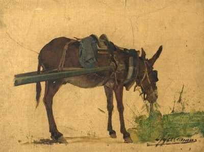 Study of a mule by Lievan Herremans