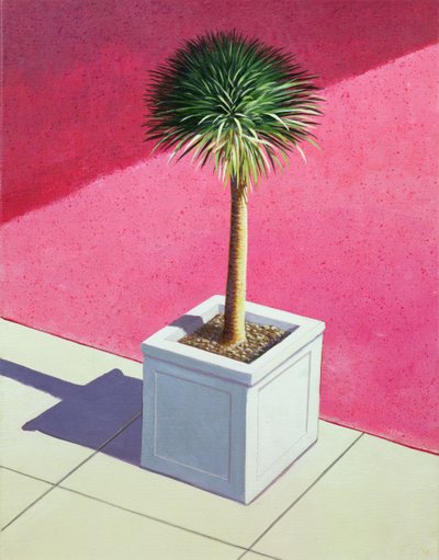 Small palm by Lincoln Seligman