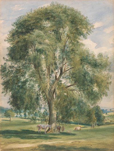A Large Tree in a Summer Landscape, a Horse Standing at the Base by Lionel Constable