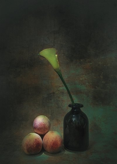 Moody Calla Lily Still Life by Liu Xing