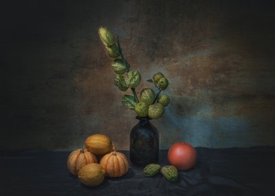 Moody Harvest Still Life by Liu Xing