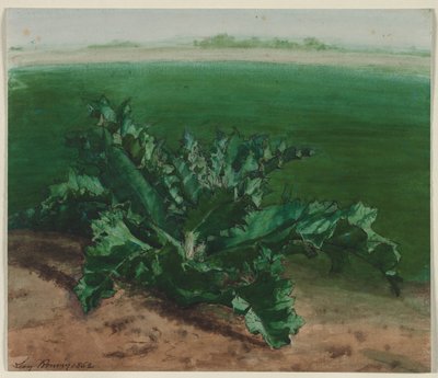 Study of a Plant, Possibly Thistle by Léon Bonvin