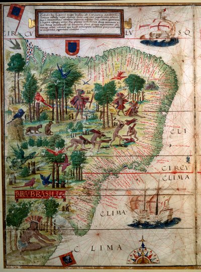 Hydrographic Map of Brazil by Lopo Homem