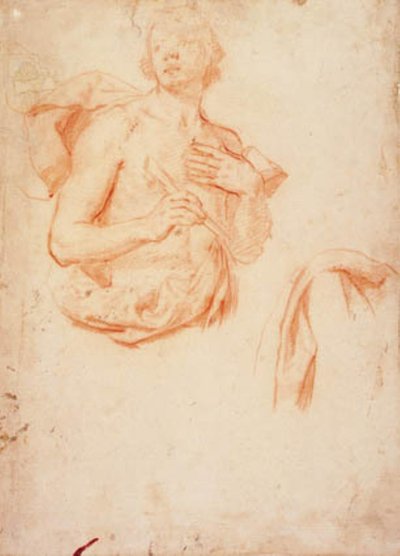 Young Man, Half Length with Bared Torso, and a Drapery Study by Lorenzo Lippi