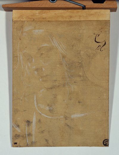 Head of a Young Girl, Three Quarters Towards the Left by Lorenzo di Credi