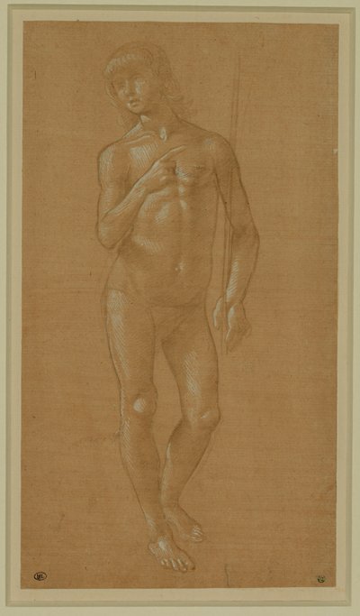 Nude Young Man, Full Face, Holding a Staff by Lorenzo di Credi