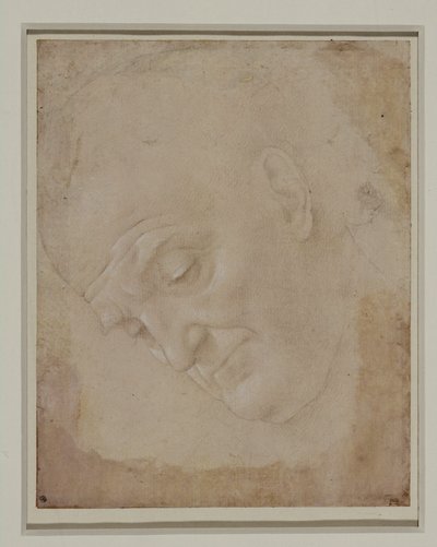 Portrait of a Bald Man, Turned Three Quarters to the Left by Lorenzo di Credi