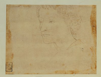 Portrait of a Boy with Curly Hair, Three-Quarters Towards the Left by Lorenzo di Credi
