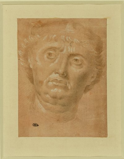 Portrait of a Man, Full Face, Eyes Turned Left by Lorenzo di Credi