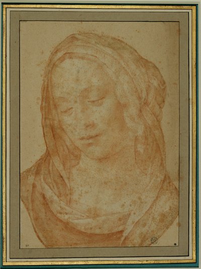 Portrait of a Woman with Veil by Lorenzo di Credi