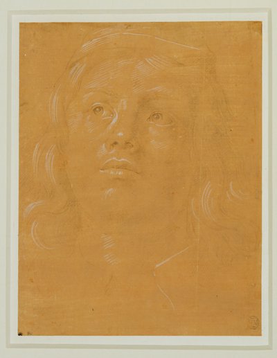 Portrait of a Young Man Looking Up by Lorenzo di Credi