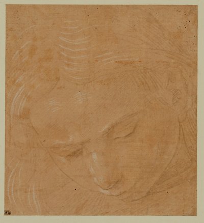 Portrait of a Young Man Looking Down by Lorenzo di Credi