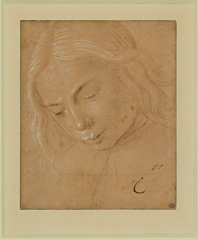 Portrait of a Young Man, Three-Quarter Profile, Bent Forward by Lorenzo di Credi