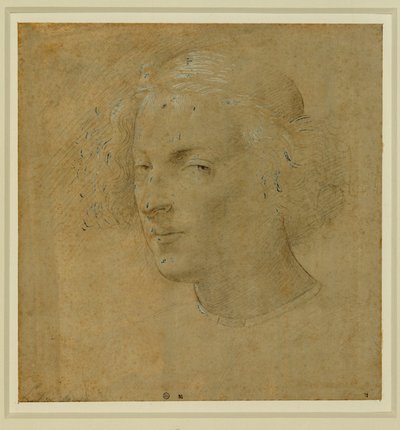 Portrait of a Young Man with Skullcap by Lorenzo di Credi