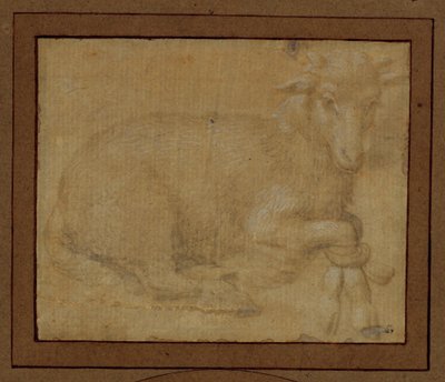 Study of a Lamb by Lorenzo di Credi