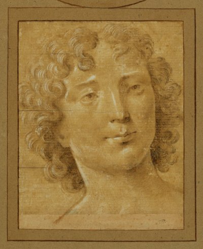 Study of a Man with Long, Curly Hair by Lorenzo di Credi