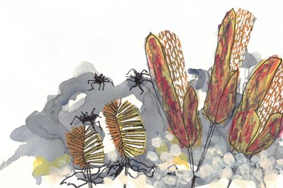 Botanical Banksia Spiders by Lori Ann Folz