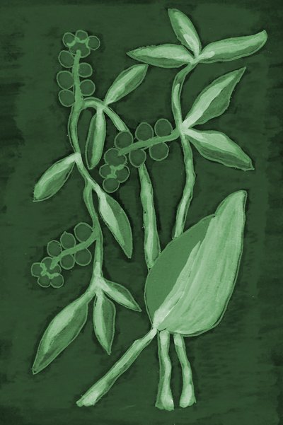Botanical Shades of Green by Lori Ann Folz