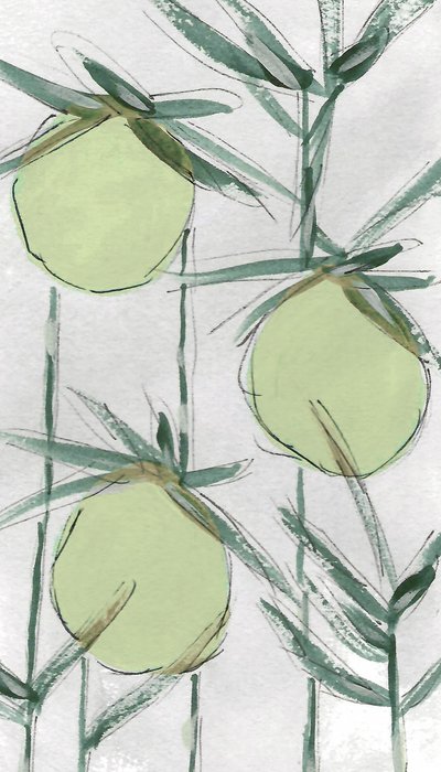Fresh Green Botanicals by Lori Ann Folz