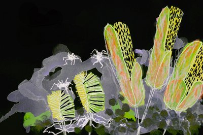 Glowing Night Garden by Lori Ann Folz