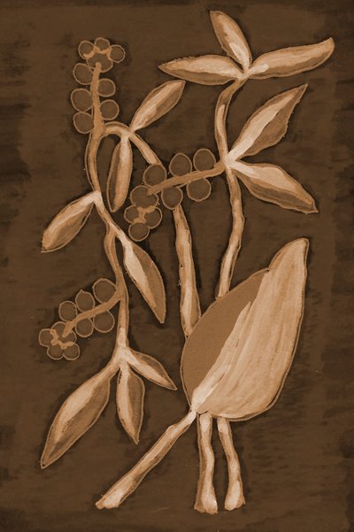 Organic Sepia Botanicals by Lori Ann Folz