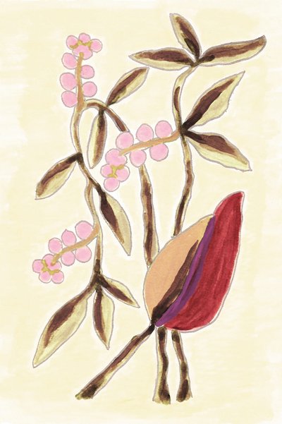 Pink Berry Botanicals by Lori Ann Folz