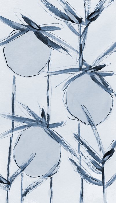 Serene Cotton Stems by Lori Ann Folz