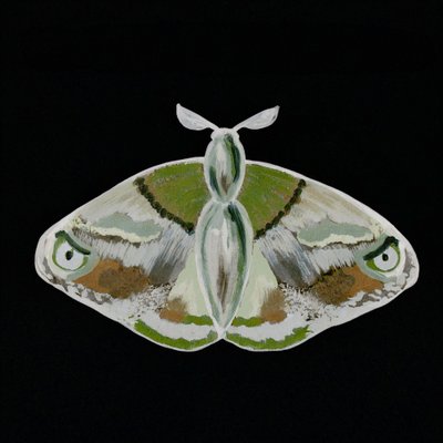 Striking Green Moth by Lori Ann Folz