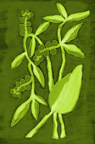 Vibrant Green Foliage by Lori Ann Folz