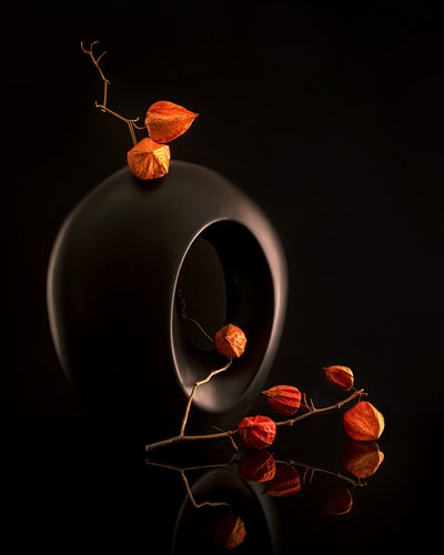 Orange Botanicals Black Vase by Louie Luo
