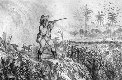 I killed three... engraving after M. de Sainson