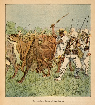The War in Madagascar: In Diego-Suarez, the French Army Demands Oxen by Louis Charles Bombled