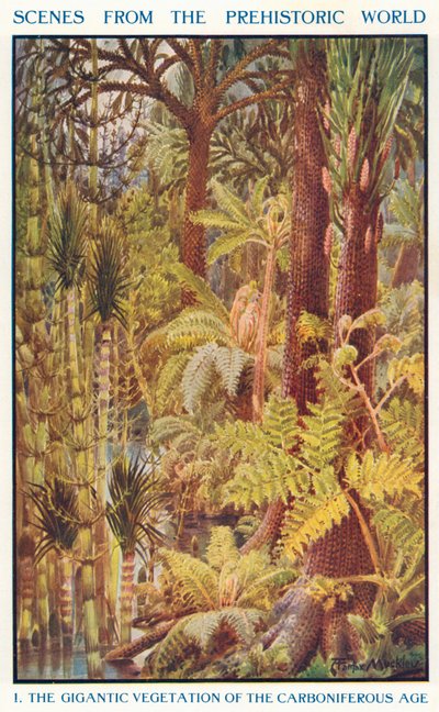 The Gigantic Vegetation of the Carboniferous Age by Louis Fairfax Muckley