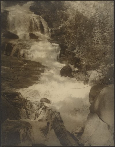 A Mountain Brook by Louis Fleckenstein