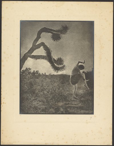 Apache Dance by Louis Fleckenstein