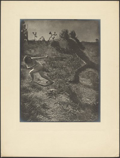 Bogey Man of the Desert by Louis Fleckenstein