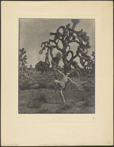 Inspiration of the Dance by Louis Fleckenstein