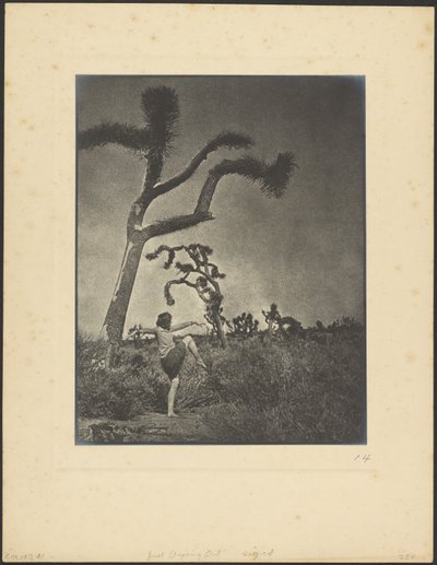 Just Stepping Out by Louis Fleckenstein