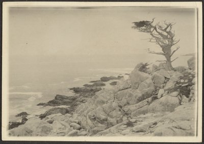 Landscape by Louis Fleckenstein