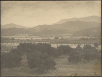 Landscape with Low Trees by Louis Fleckenstein