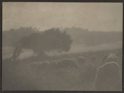 Landscape with Sheep by Louis Fleckenstein