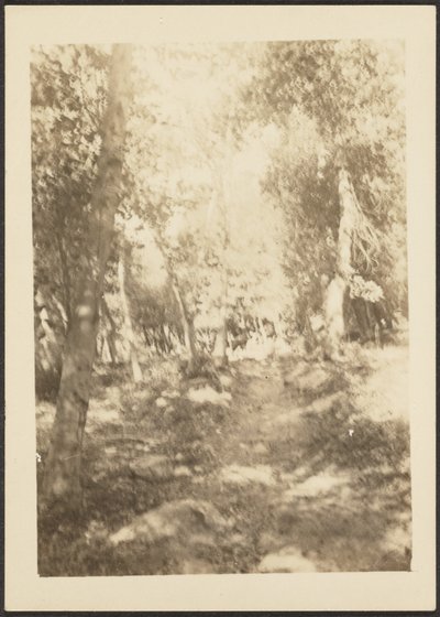 Landscape with Wild Deer by Louis Fleckenstein