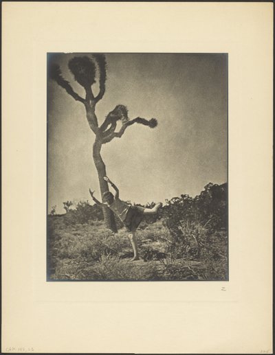 Lithe and Graceful - Dancing Joshua by Louis Fleckenstein