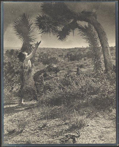The Benediction by Louis Fleckenstein