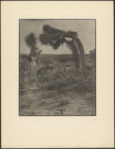 The Benediction by Louis Fleckenstein