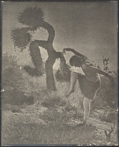 The Clownish Joshua by Louis Fleckenstein