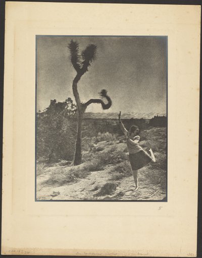 The Corkscrew Twist by Louis Fleckenstein