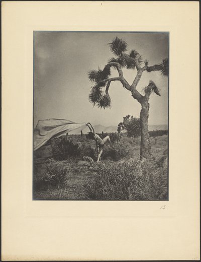 The Desert Wind by Louis Fleckenstein