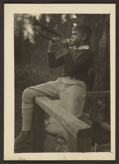 Thornbill by Louis Fleckenstein